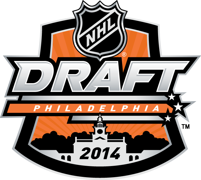 NHL Draft 2014 Primary Logo iron on heat transfer